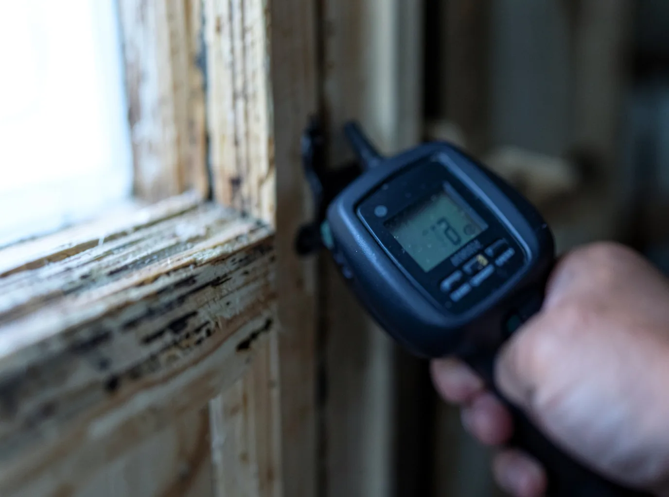 Moisture Inspection And Documentation in San Diego, TX